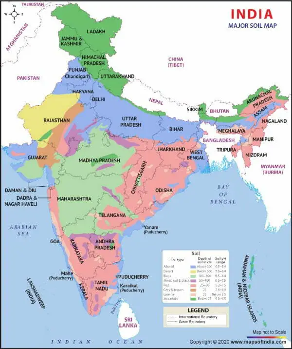 Indian map of soil